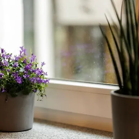 Weronika's Urban Hideaway Апартаменты