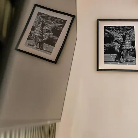 Weronika's Urban Hideaway Вроцлав