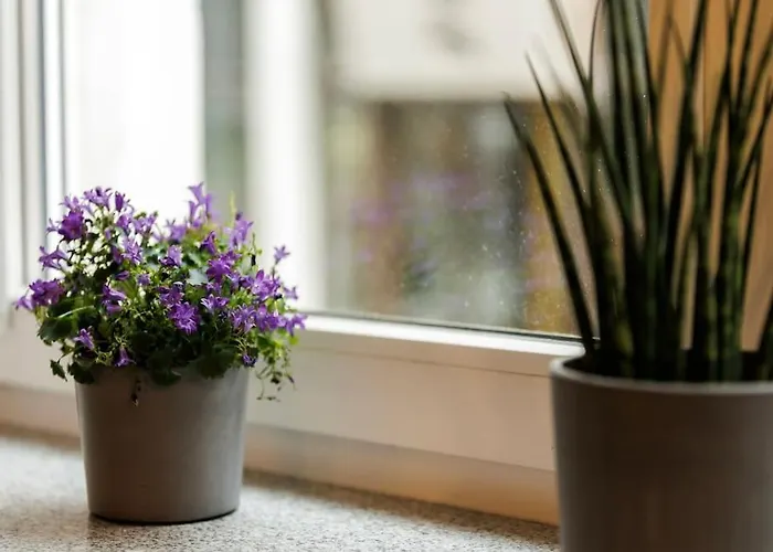 Weronika's Urban Hideaway Apartamento